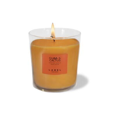 Guava & Cactus Scented Candle 220 g