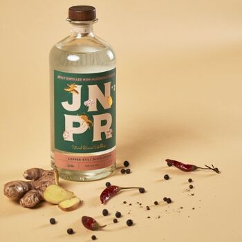 JNPR N°2, NON-ALCOHOLIC SPIRITS | SUGAR-FREE | GINGER & SPICES | 70 CL 10