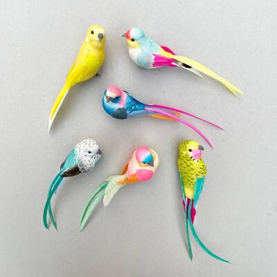 Clips de pájaros de plumas - Caja de 72 - Mixto