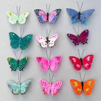 Pinces Papillon Plume - Boîte de 72 - Mixte 1