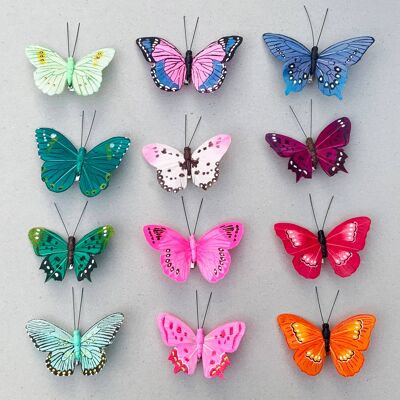 Clips de mariposa de plumas - Caja de 72 - Mixto