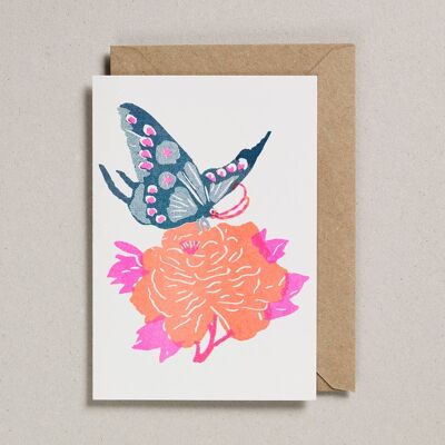 Riso Papercut Cards - Paquete de 6 - Mariposa verde azulado