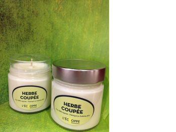 BOUGIE PARFUMEE CIRE 100 % VEGETALE SOJA   180 G HERBE COUPEE