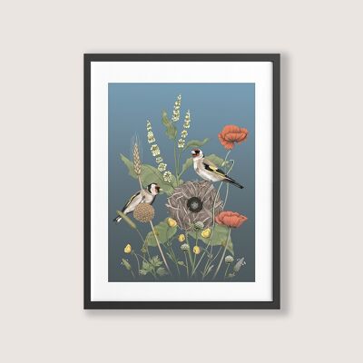 Meadow Chorus-framed art print-12x16