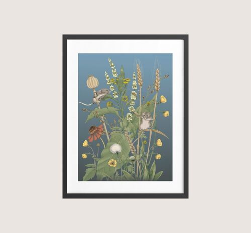 Meadow Mice - Framed Print - 12 x 16