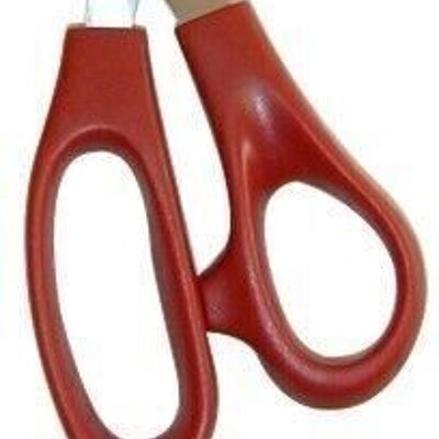 Burocoup scissors 21 cm