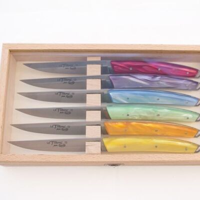Caja de cuchillos Le Thiers - Bougnat verano