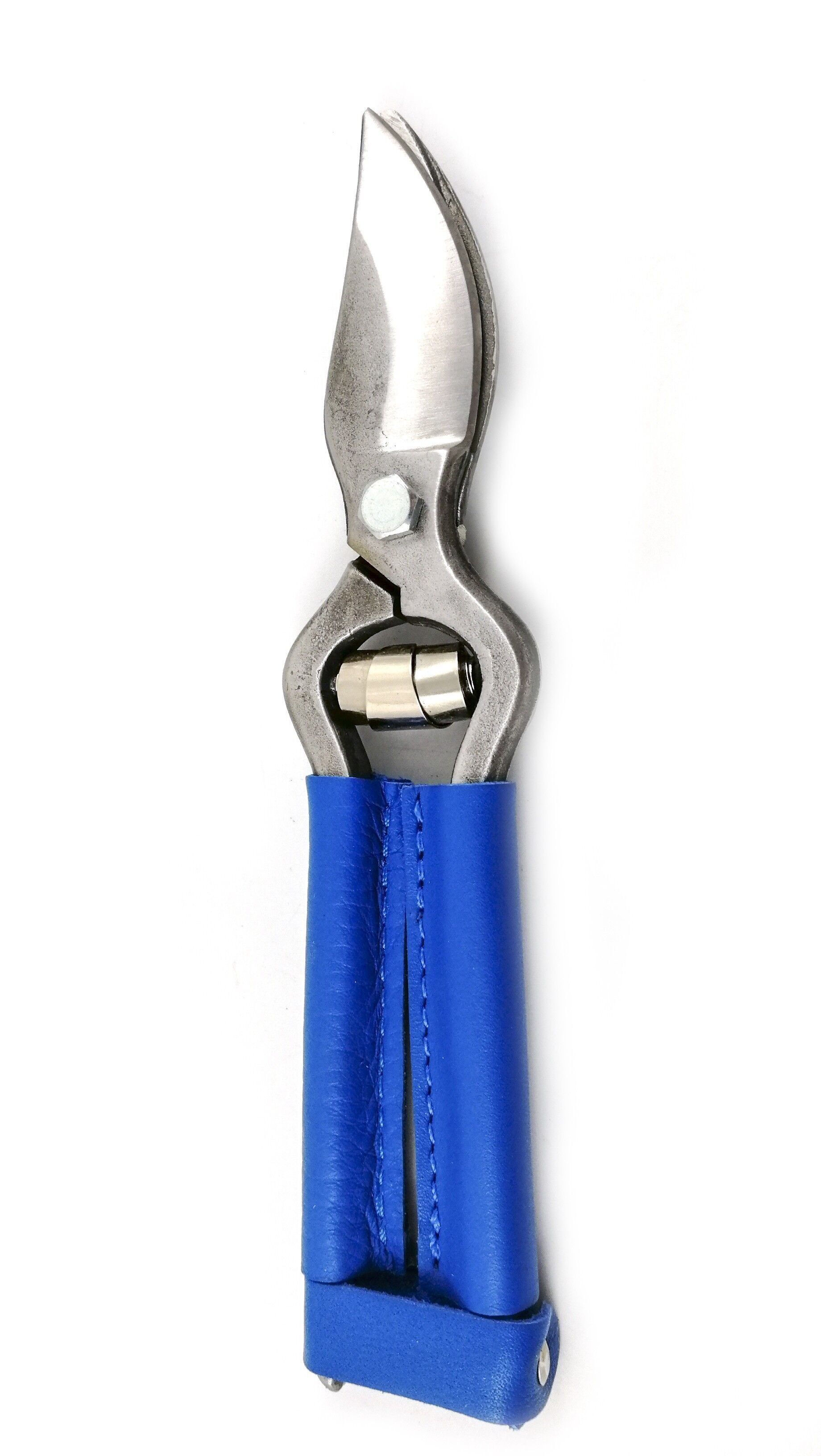 Forbici forgiate 19 cm Blu