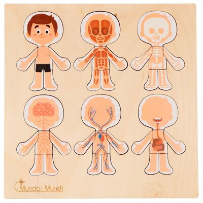 Educational puzzle Human anatomy