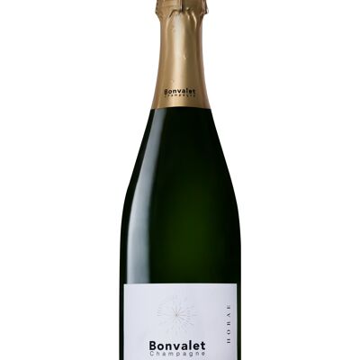 Champagne Vintage 2014 - HORAE