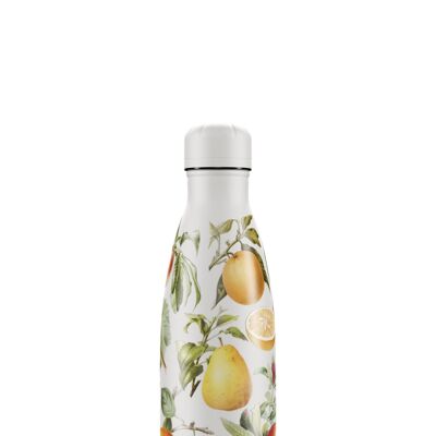 Botella 500ml Fruta Botánica