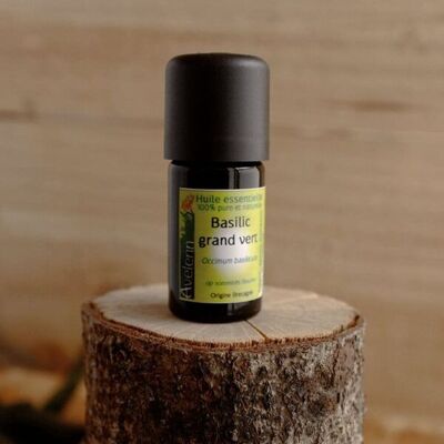 Organic essential oil of Basil - 5 ml