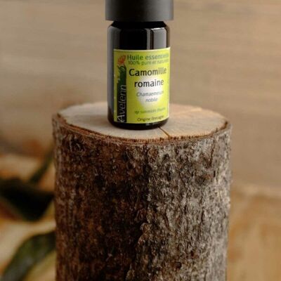 Organic essential oil of Roman chamomile - 5ml
