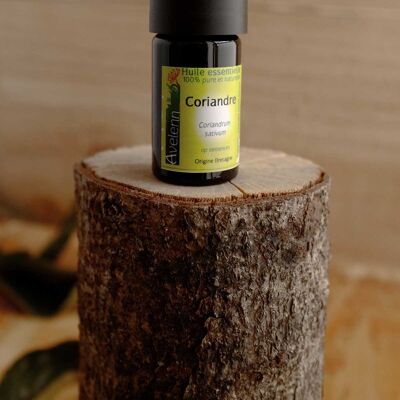 Organic essential oil of Coriander - 5ml