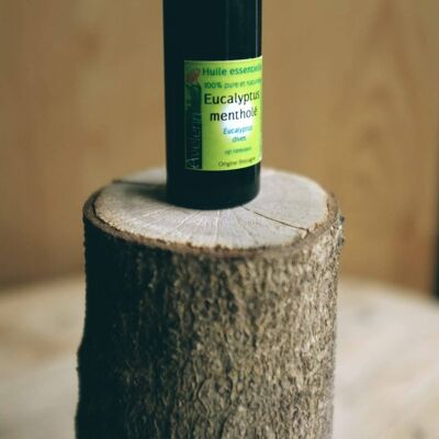 Eukalyptusminze Bio ätherisches Öl 10ml