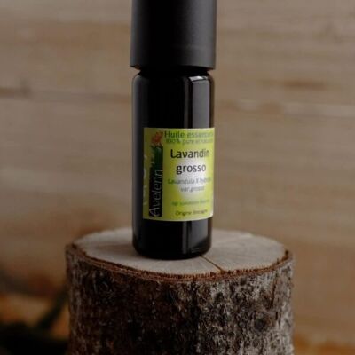 Lavandin grosso organic essential oil - 30ml