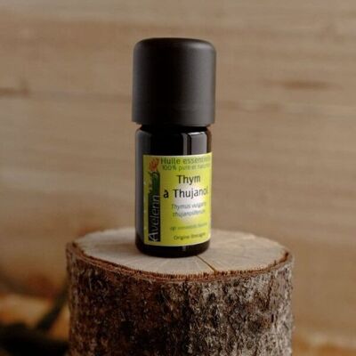 Organic essential oil of thyme with thujanol - 5ml