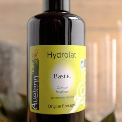Organic Basil hydrosol - 200 ml