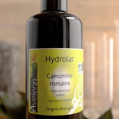 Organic Roman Chamomile hydrosol -200 ml