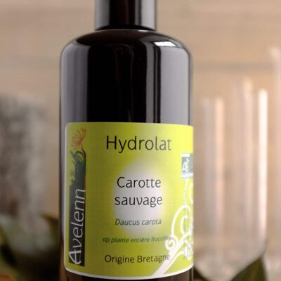 Organic Hydrosol of Wild Carrot - 200 ml