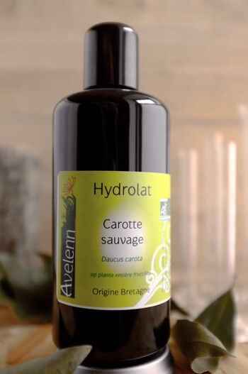 Hydrolat BIO de Carotte Sauvage - 200 ml