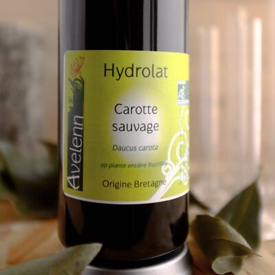 Hidrolato Bio de Zanahoria Silvestre - 200 ml
