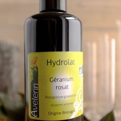 Organic rose geranium hydrolat - 200 ml
