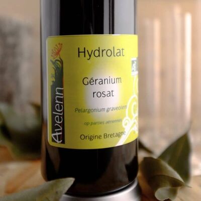 Organic rose geranium hydrolat - 200 ml