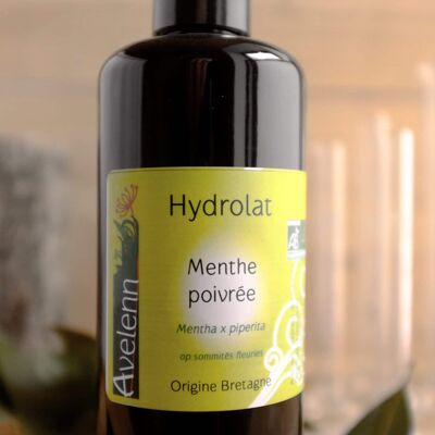 Organic Peppermint Hydrolat - 200 ml