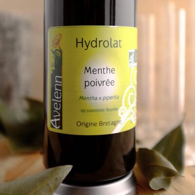 Hydrolat BIO de Menthe poivrée - 200 ml