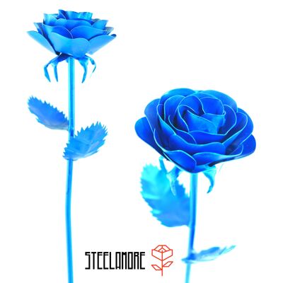 10 - Steel Rose monocromatico blu metallizzato