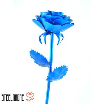 10 - Steel Rose monochromatique bleu métallique 2
