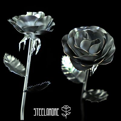 10 - Steel rosette, one color silver