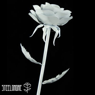 10 - steel rose monochromatic white