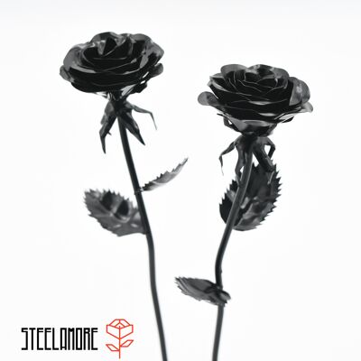 10 - acier rose monochrome noir