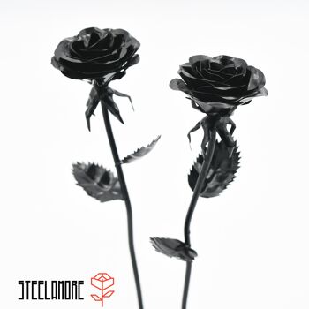 10 - acier rose monochrome noir 1
