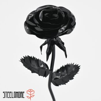 10 - acier rose monochrome noir 3
