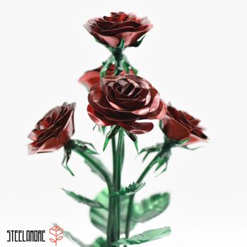 10 - Bouquet de roses acier bicolore rouge vert 2