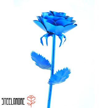 16 - Steel Rose monochromatique bleu métallique 2