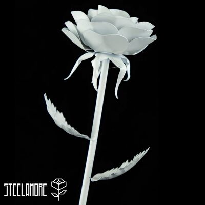 26 - steel rose monochromatic white