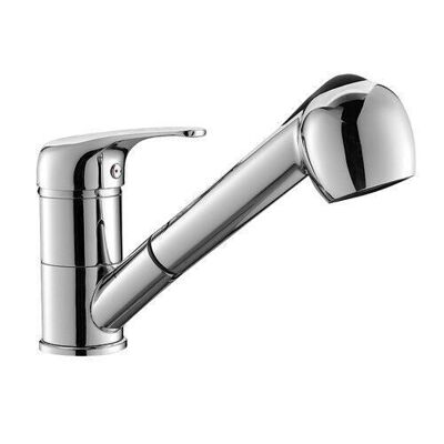 Single lever faucet with shower for sink