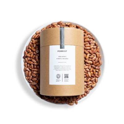 Organic Pinto Beans