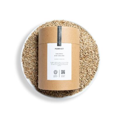 Organic Rye Grains