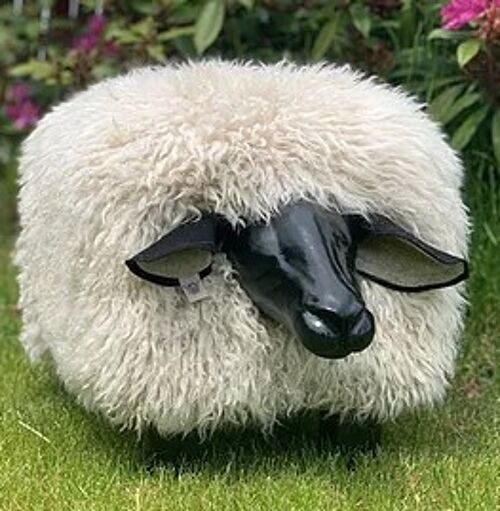 Sheep Footstool - Curly 'Oyster' Black Nose