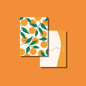 Carte orange 1