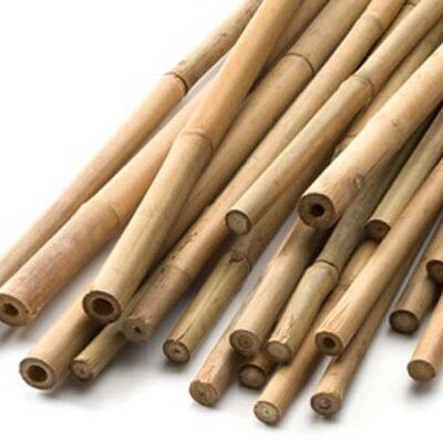 3 ft 90cm Fumigated Bamboo Canes  ( x 250 )