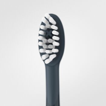 Ensemble de têtes de brosse Sonic+ - Gris anthracite - Paquet de 4 5