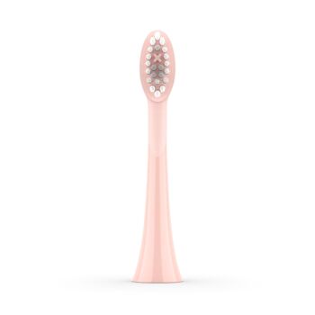 Ensemble de têtes de brosse Sonic+ - Or rose - Paquet de 2 2