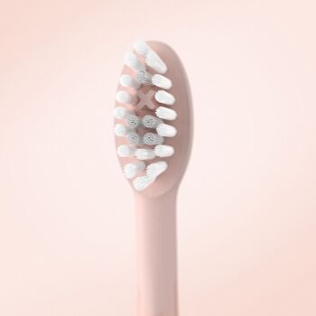 Ensemble de têtes de brosse Sonic+ - Or rose - Paquet de 2 5