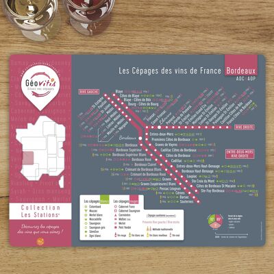 Bordeaux Grape Varieties Placemat